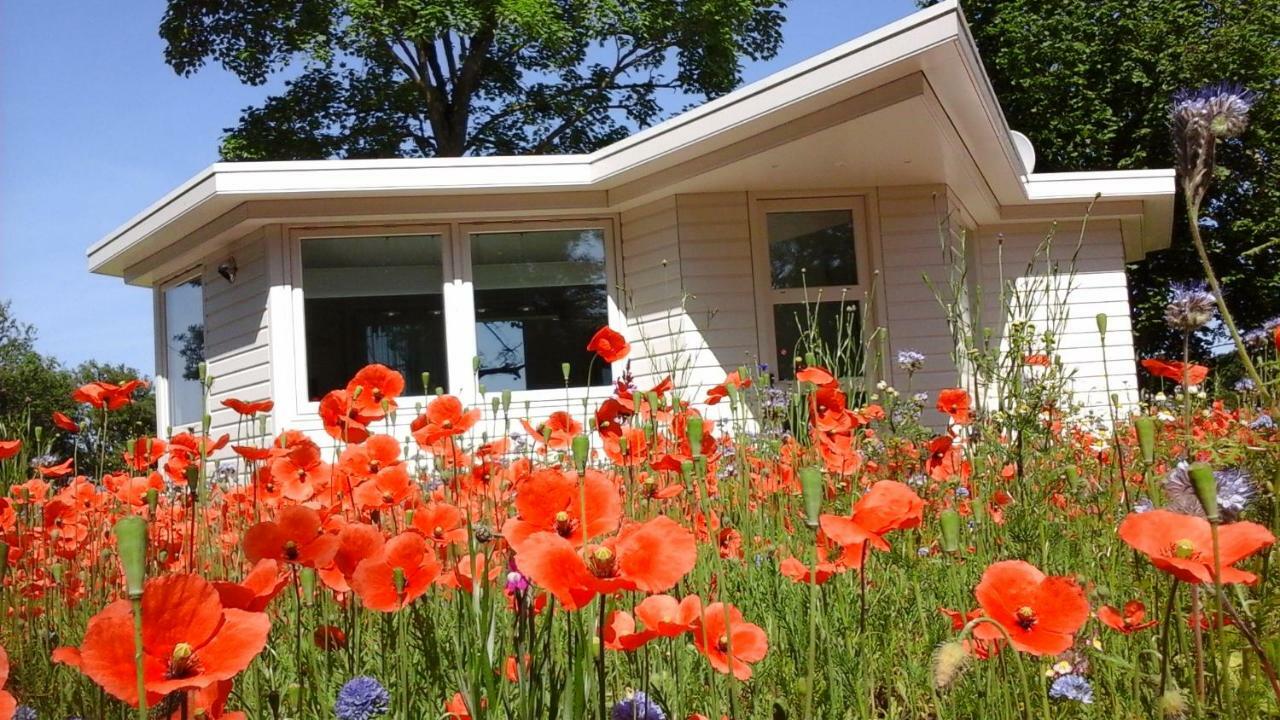 Villa Het Findament Tiny House